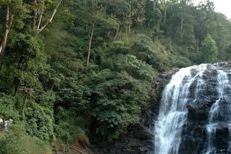 Ooty Coorg Package