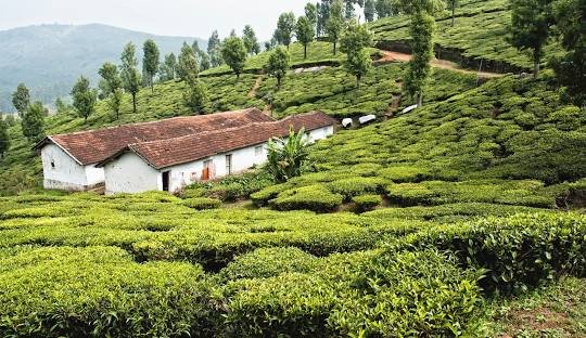DAY 01 – BANGALORE to OOTY – 270 KMS / 6 HRS